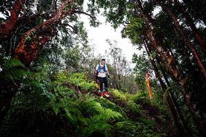 BIB: 
                            <button type="button" onclick="openModal(26203388)" class="btn btn-primary btn-sm float-right btn-popup" data-toggle="modal" data-target=".modal-high-quality">
                        <i class="fas fa-shopping-cart"></i> Add to Cart
                    </button>
                                            <button type="button" onclick="isThisMe(26203388, true)" class="btn btn-success btn-sm float-right btn-popup btn-isme hidden" data-toggle="tooltip" data-placement="bottom" title="นี่คือรูปของคุณใช่ไหม คลิกที่นี่เพื่อเอาเข้าอัลบั้ม">
                        <i class="fas fa-plus"></i> Add to album
                    </button>
                    <button type="button" onclick="isThisMe(26203388, false)" class="btn btn-warning btn-sm float-right btn-popup btn-isnotme hidden">
                        <i class="fas fa-ban"></i> Remove from album
                    </button>